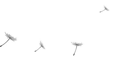 不朽情缘-官方网站