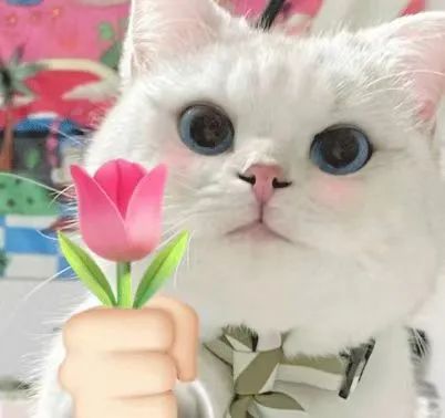 不朽情缘-官方网站